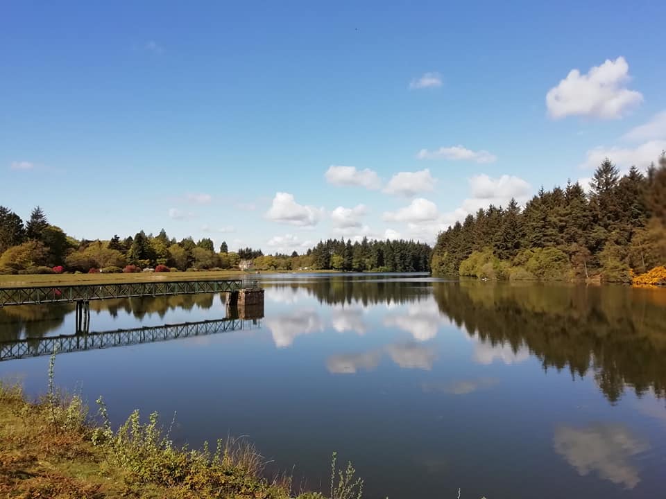 Running Sisters Tayside 5k - cover image
