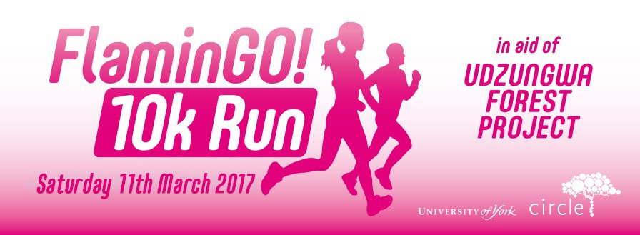 FlaminGO! 10K run - cover image